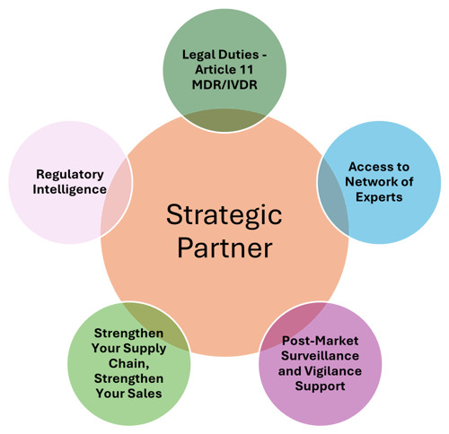 Authorized rep as a strategic partner